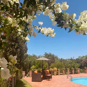 villa-apollonia-blissful-garden-paradise-with-pool.essaouirahotels.net/